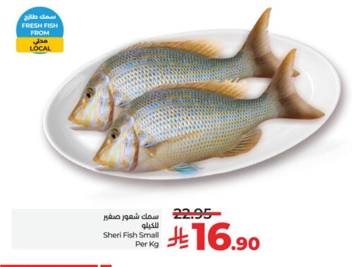 available at LULU Hypermarket in KSA, Saudi Arabia, Saudi - Jubail