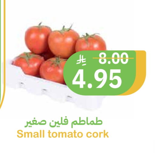 Tomato available at Qateba Markets in KSA, Saudi Arabia, Saudi - Buraidah