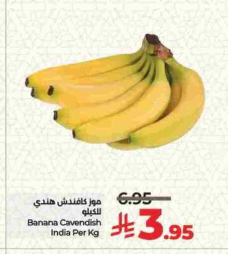 Banana from India available at LULU Hypermarket in KSA, Saudi Arabia, Saudi - Jeddah