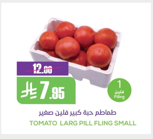 Tomato available at Sapt in KSA, Saudi Arabia, Saudi - Buraidah