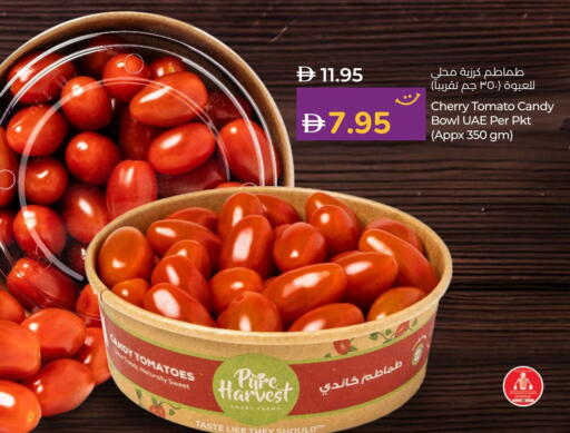 Tomato available at Lulu Hypermarket in UAE - Abu Dhabi