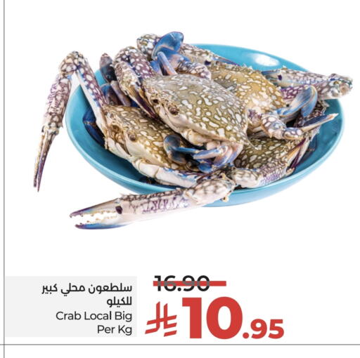 available at لولو هايبرماركت in مملكة العربية السعودية, السعودية, سعودية - حائل‎