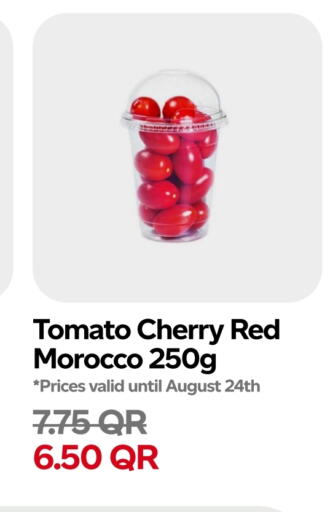 Tomato from Morocco available at Snoomart in Qatar - Al Rayyan