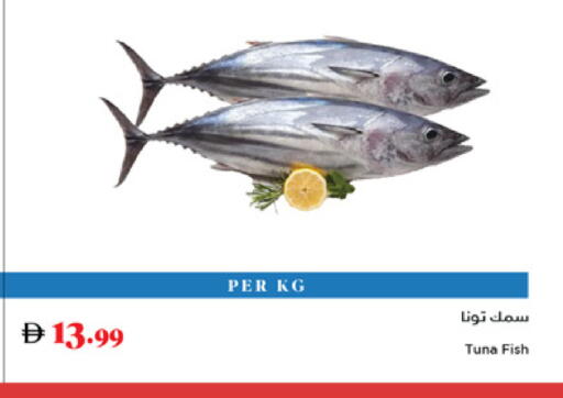 Tuna available at Trolleys Supermarket in UAE - Sharjah / Ajman