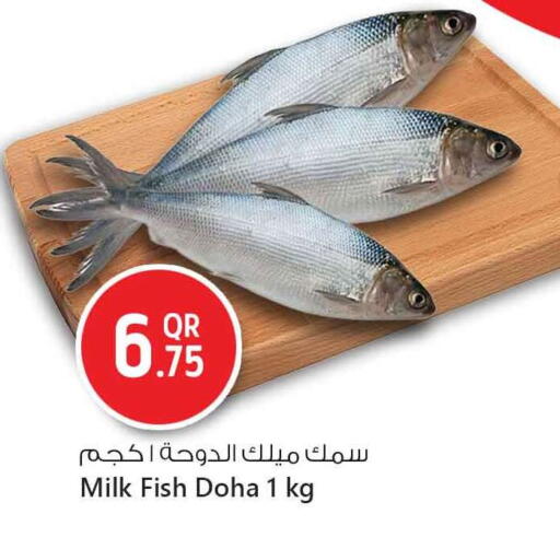 available at Safari Hypermarket in Qatar - Al Khor