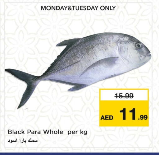 available at Nesto Hypermarket in UAE - Fujairah