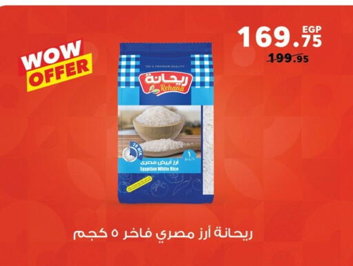 Calrose Rice available at Panda  in Egypt - Cairo
