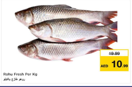 available at Nesto Hypermarket in UAE - Fujairah