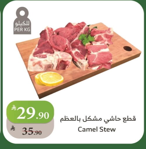 لحم حاشي available at الراية in مملكة العربية السعودية, السعودية, سعودية - تبوك