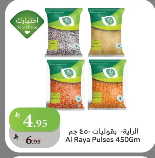 available at Al Raya in KSA, Saudi Arabia, Saudi - Najran