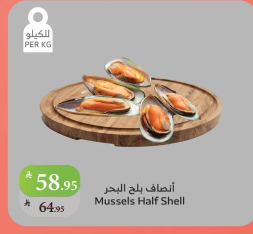 available at الراية in مملكة العربية السعودية, السعودية, سعودية - المدينة المنورة