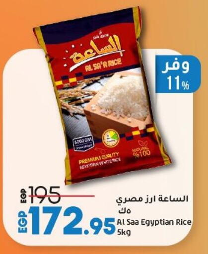 Calrose Rice available at Lulu Hypermarket  in Egypt - Cairo