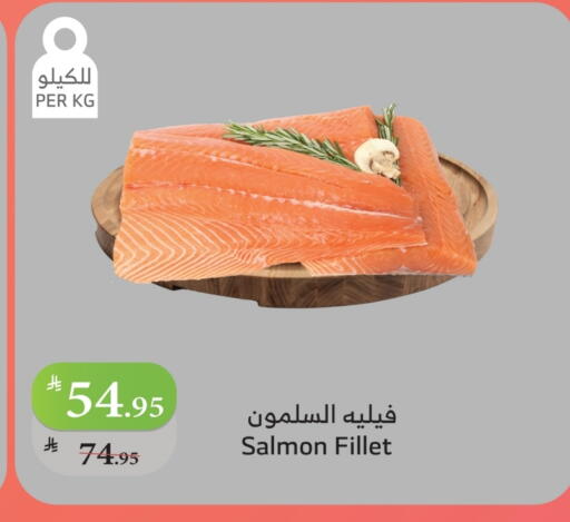 available at الراية in مملكة العربية السعودية, السعودية, سعودية - المدينة المنورة
