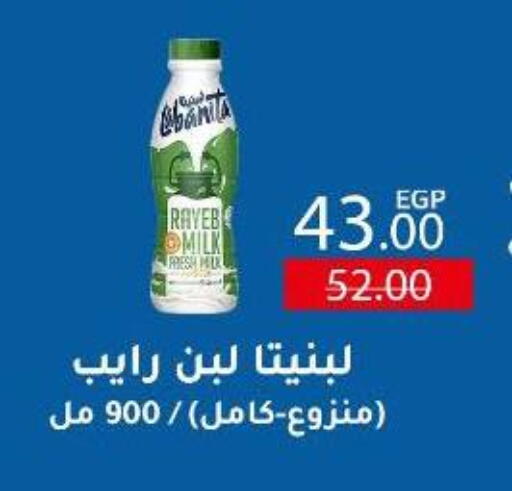 Laban available at Wekalet Elmansoura - Dakahlia  in Egypt - Cairo