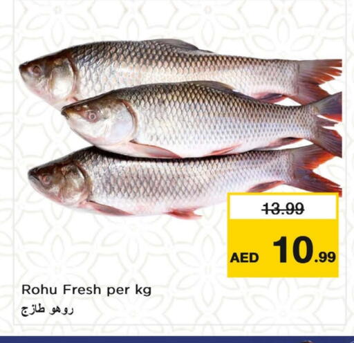 available at Nesto Hypermarket in UAE - Fujairah