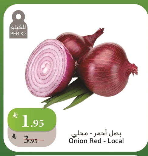 بصل available at الراية in مملكة العربية السعودية, السعودية, سعودية - نجران