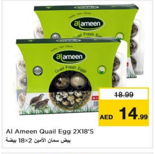 AL AMEEN available at Nesto Hypermarket in UAE - Abu Dhabi