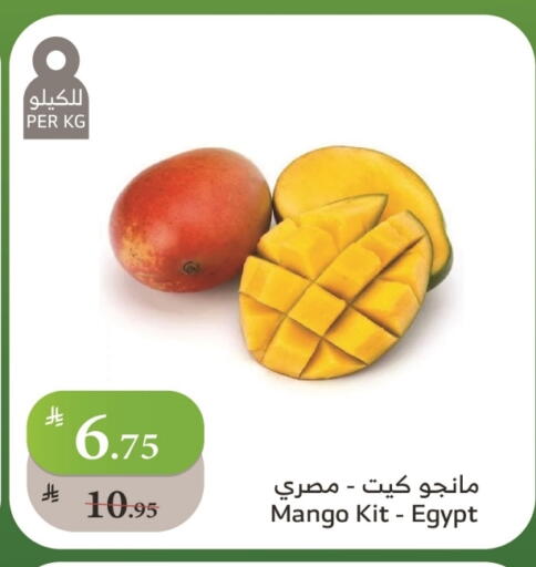Mangoes from Egypt available at Al Raya in KSA, Saudi Arabia, Saudi - Najran