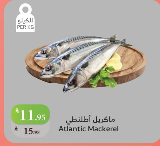 available at الراية in مملكة العربية السعودية, السعودية, سعودية - المدينة المنورة