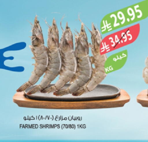 available at المزرعة in مملكة العربية السعودية, السعودية, سعودية - سيهات