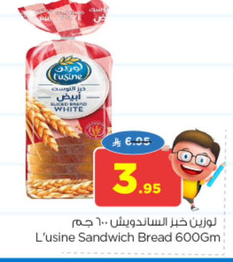 available at نستو in مملكة العربية السعودية, السعودية, سعودية - المجمعة
