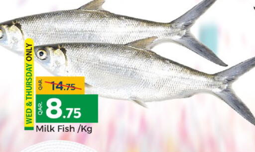 available at باريس هايبرماركت in قطر - أم صلال