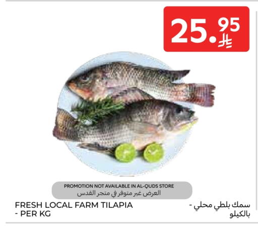 available at كارفور in مملكة العربية السعودية, السعودية, سعودية - المدينة المنورة
