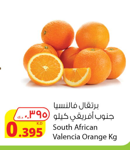 Orange from South Africa available at Agricultural Food Products Co. in Kuwait - Jahra Governorate