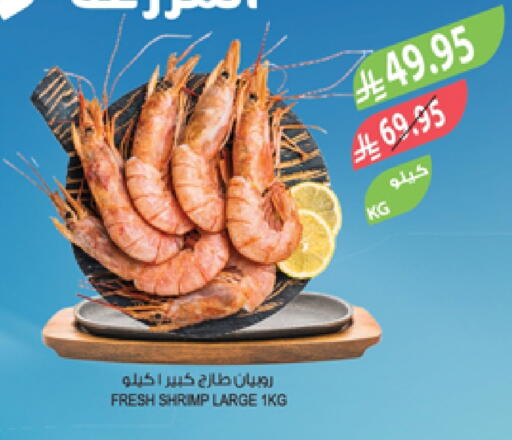 available at المزرعة in مملكة العربية السعودية, السعودية, سعودية - سيهات