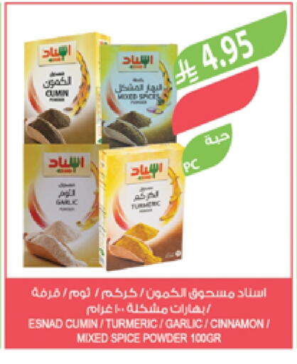Cumin Turmeric Garlic Cinnamon available at Farm  in KSA, Saudi Arabia, Saudi - Al-Kharj