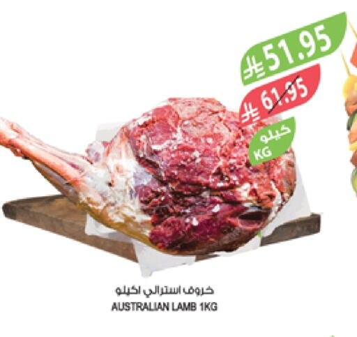 Mutton / Lamb available at Farm  in KSA, Saudi Arabia, Saudi - Al-Kharj