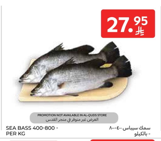 available at كارفور in مملكة العربية السعودية, السعودية, سعودية - المدينة المنورة