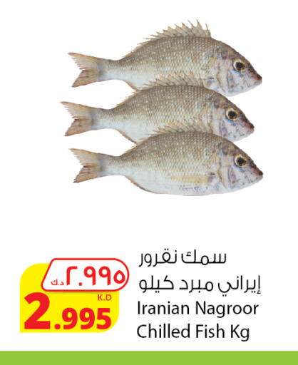 available at شركة المنتجات الزراعية الغذائية in الكويت - مدينة الكويت