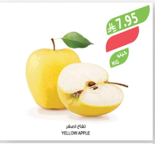 Apples available at Farm  in KSA, Saudi Arabia, Saudi - Abha