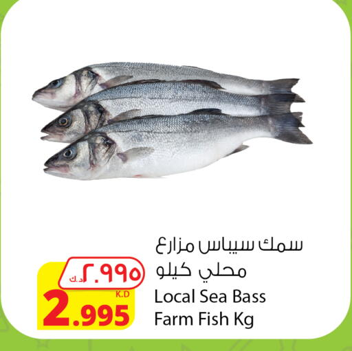 available at شركة المنتجات الزراعية الغذائية in الكويت - مدينة الكويت