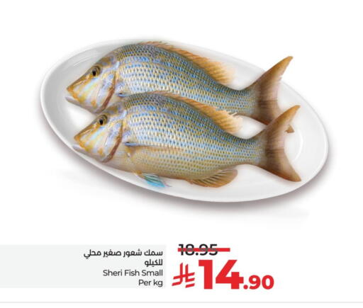 available at LULU Hypermarket in KSA, Saudi Arabia, Saudi - Al Khobar