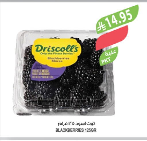 available at المزرعة in مملكة العربية السعودية, السعودية, سعودية - عرعر