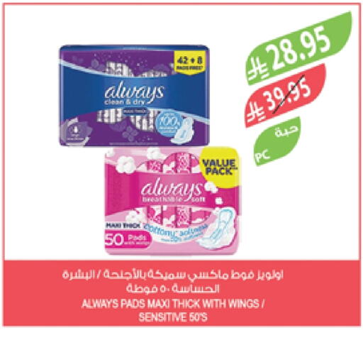 ALWAYS available at Farm  in KSA, Saudi Arabia, Saudi - Jazan