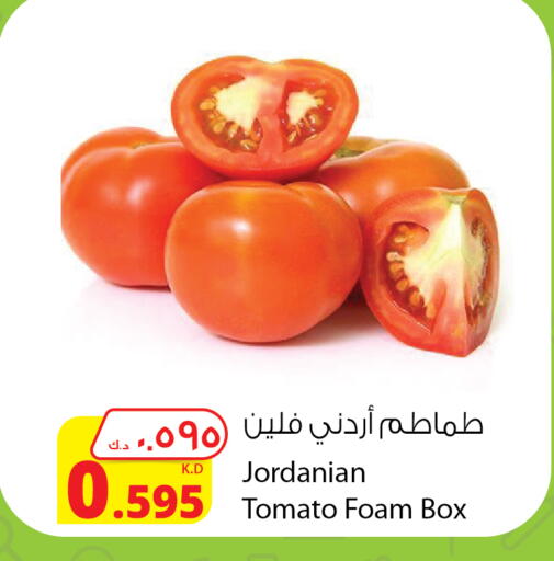 Tomato from Jordan available at Agricultural Food Products Co. in Kuwait - Kuwait City