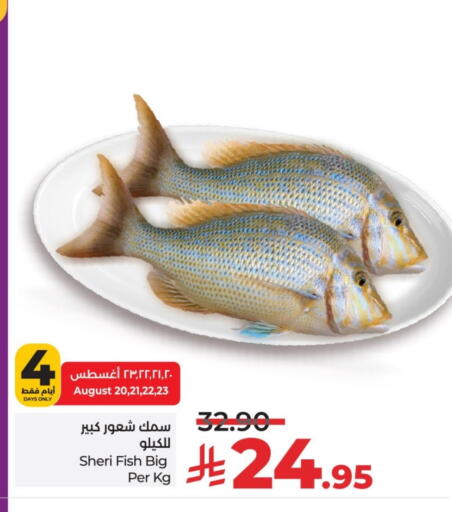 available at لولو هايبرماركت in مملكة العربية السعودية, السعودية, سعودية - حائل‎