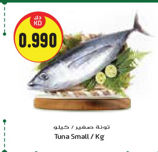 تونة available at جراند هايبر in الكويت - مدينة الكويت