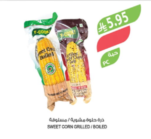 available at Farm  in KSA, Saudi Arabia, Saudi - Khafji