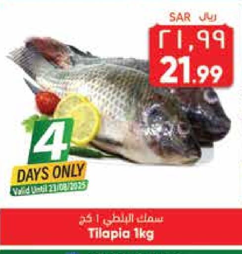 available at ستي فلاور in مملكة العربية السعودية, السعودية, سعودية - حائل‎