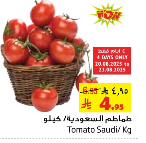 Tomato from Saudi Arabia available at Layan Hyper in KSA, Saudi Arabia, Saudi - Dammam