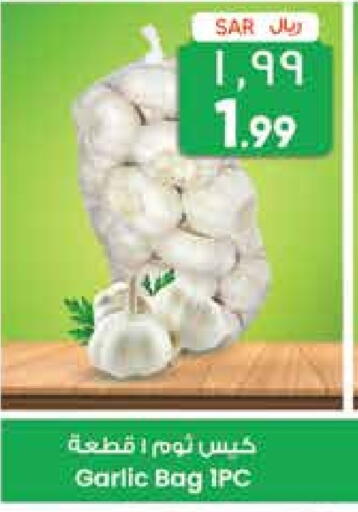 Garlic available at City Flower in KSA, Saudi Arabia, Saudi - Najran