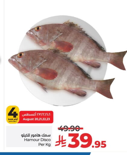 available at لولو هايبرماركت in مملكة العربية السعودية, السعودية, سعودية - حائل‎
