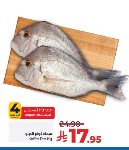 available at لولو هايبرماركت in مملكة العربية السعودية, السعودية, سعودية - حائل‎