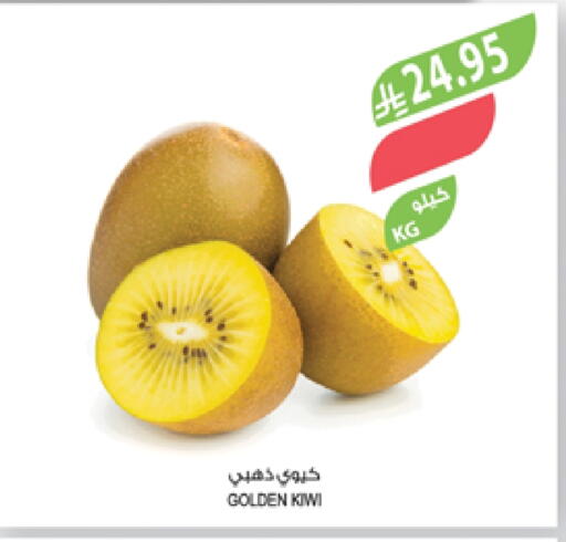 Kiwi available at Farm  in KSA, Saudi Arabia, Saudi - Abha