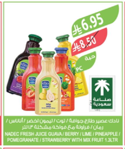 نادك available at المزرعة in مملكة العربية السعودية, السعودية, سعودية - ينبع