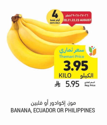 Banana from Ecuador Philippines available at Tamimi Market in KSA, Saudi Arabia, Saudi - Medina